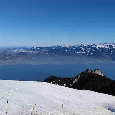 Studio Myrtilles Du Leman Vue Sur Lac Et Montagne Thollon-les-Memises ภายนอก รูปภาพ