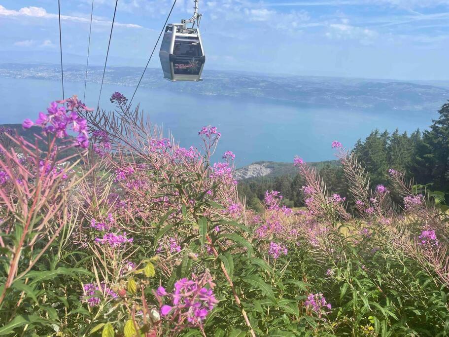 Studio Myrtilles Du Leman Vue Sur Lac Et Montagne Thollon-les-Memises ภายนอก รูปภาพ