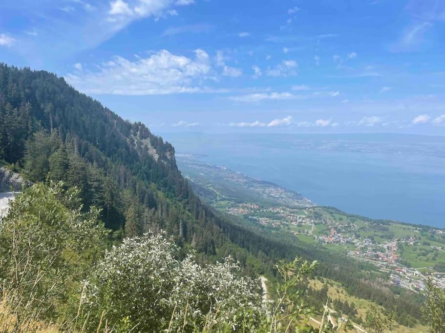 Studio Myrtilles Du Leman Vue Sur Lac Et Montagne Thollon-les-Memises ภายนอก รูปภาพ